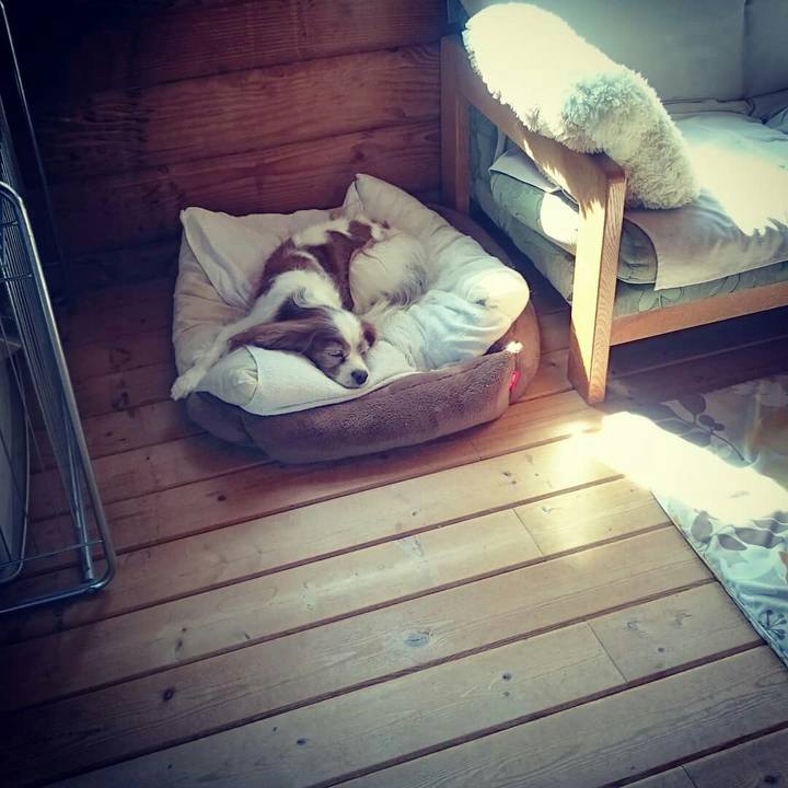 21df02b9 4800 4bc2 9351 7e3d9dbb452c 1539398739177