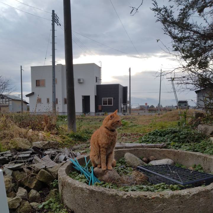 21df0444 4625 47ad 87cf 4543bf0e3fa2 1669676060317