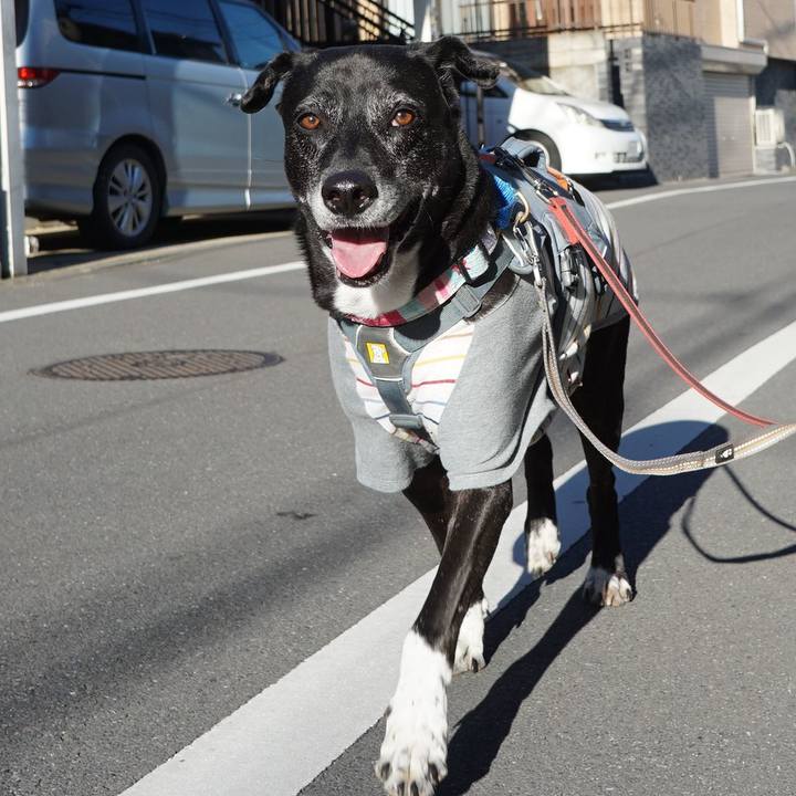 21df1d51 b22c 4d9f 8b60 84289d6ac7ad 1763773940306