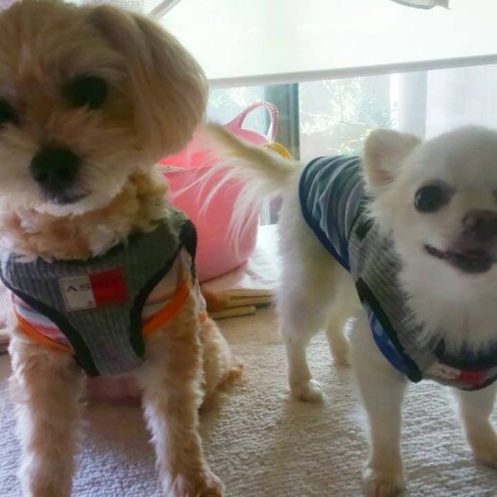 21df7e27 4678 441f 82d1 2c8061d88c38 1558863367536