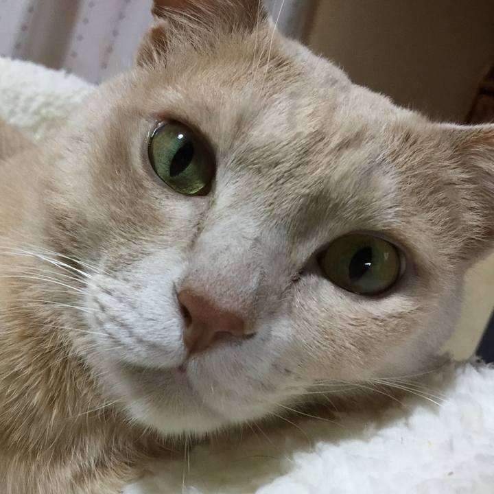 21df9579 f96b 416f a318 7ea5837d9da5 1548824974126