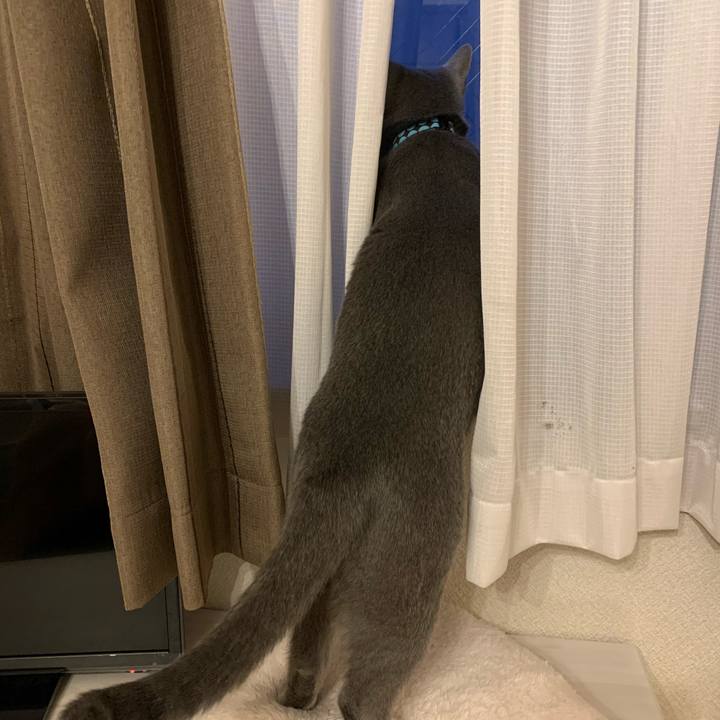 21dfd554 4f92 4d63 a47b a91e9ac4b1dd 1579213968546