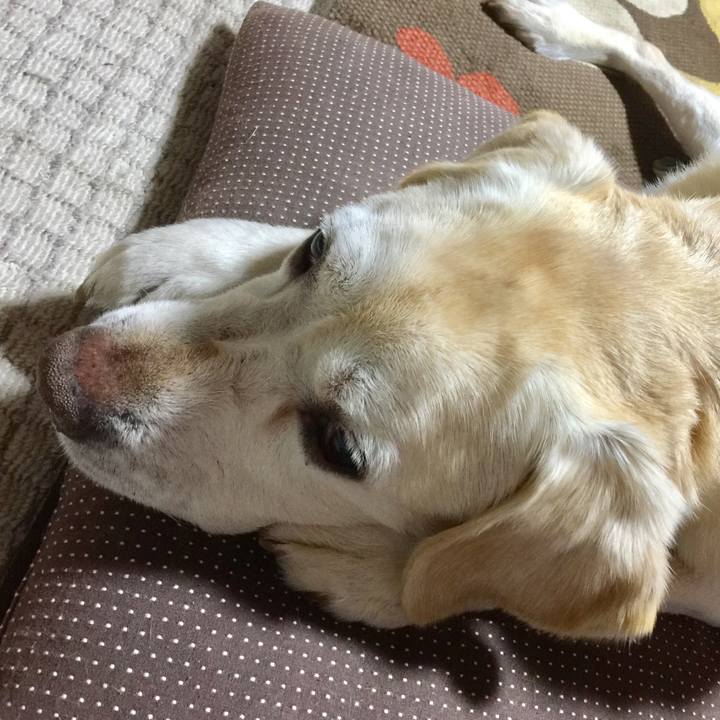 21dfe0ca 3476 4864 8883 c257972ec888 1522323966829