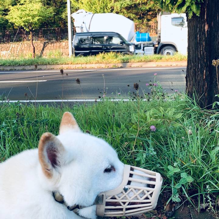 21dfe224 a5f7 41a7 89ac 42ecf66d0681 1601593626281