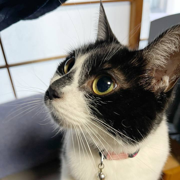 21dff38d 7f4a 4239 8e39 782bfe35c345 1768431592532