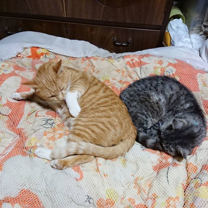 21dff935 3699 41ee ae55 944121fbec97 1571576559616