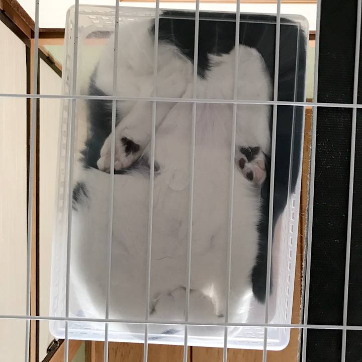 21e00b17 5cb7 4280 823e fda75f7ca9bc 1537416950944