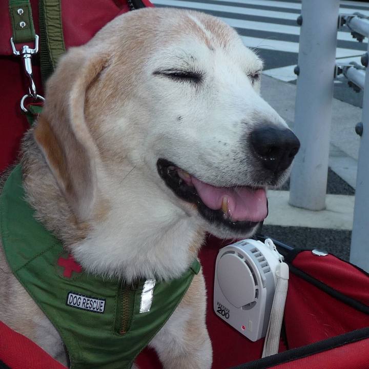 21e00c92 e593 4bca 8976 1cf6c860f0ca 1695168641198