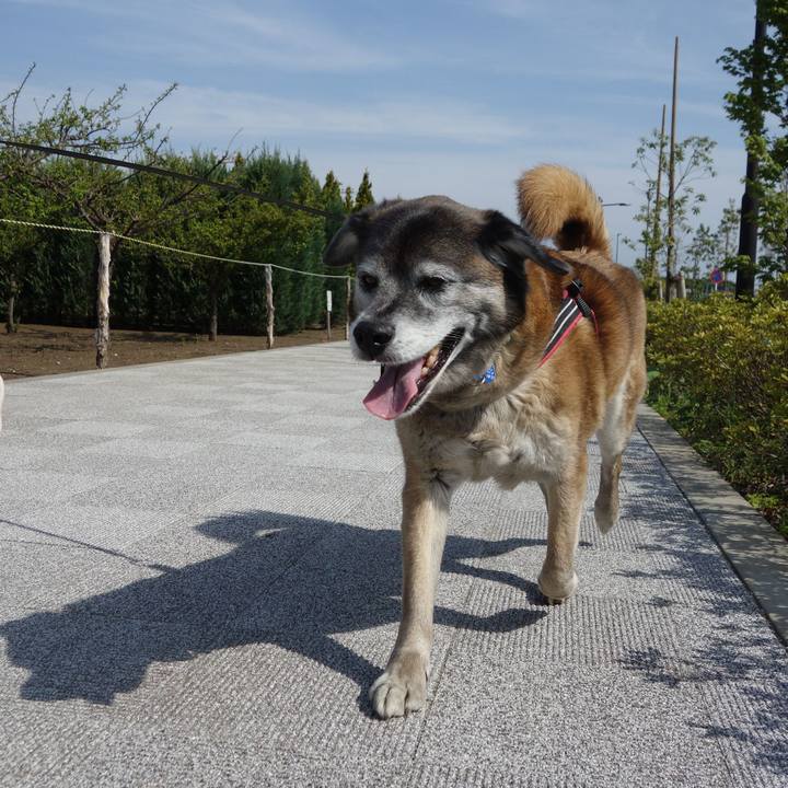 21e01d83 4e3c 4a1f ac5f 08501f83356e 1665882106201