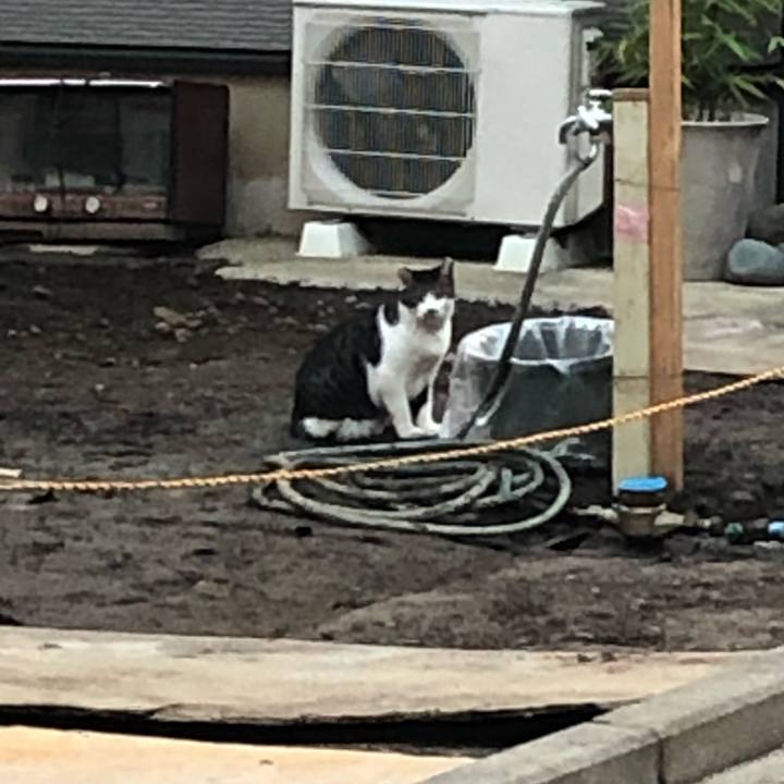 21e050b7 7fd5 4e93 bd9f a1500998db4a 1601544464188