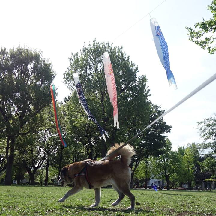 21e09a5e 6f39 4425 ab01 57885af09950 1666486942159