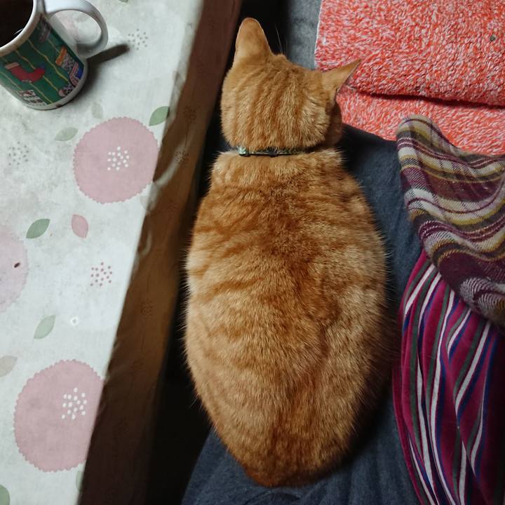 21e09dd4 c45b 440e 9fc5 24fba000f0d6 1584997577069