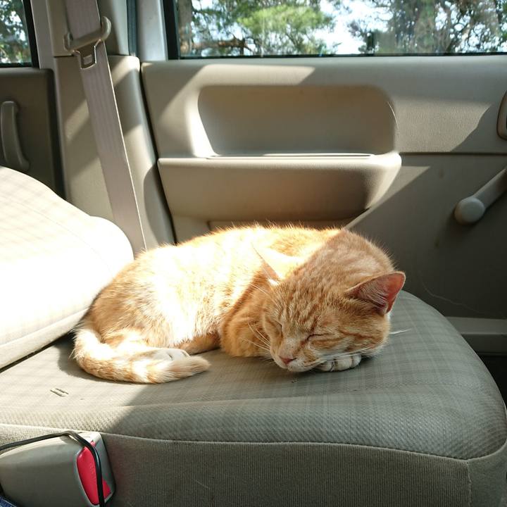 21e0a4c3 8305 4cac 8916 e1f71ccc0ea8 1593328208217