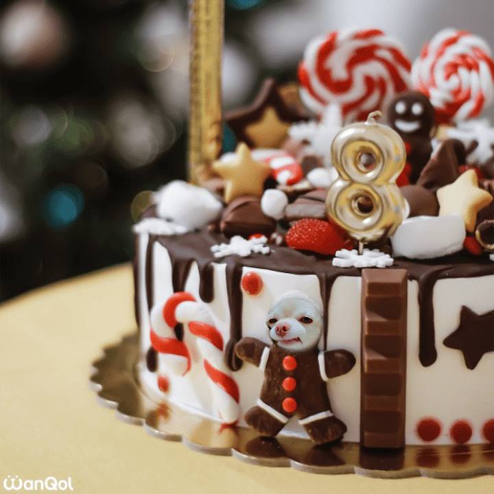 21e0c8d6 e046 48fc bbab 337831021b17 1671865498992