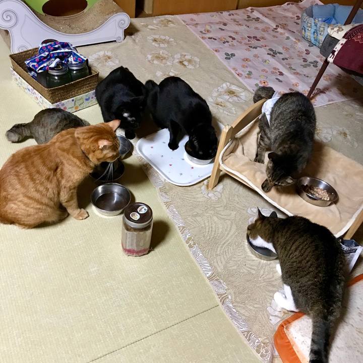 21e0c986 9a44 45d7 af0a 057c33c7b092 1543927522297