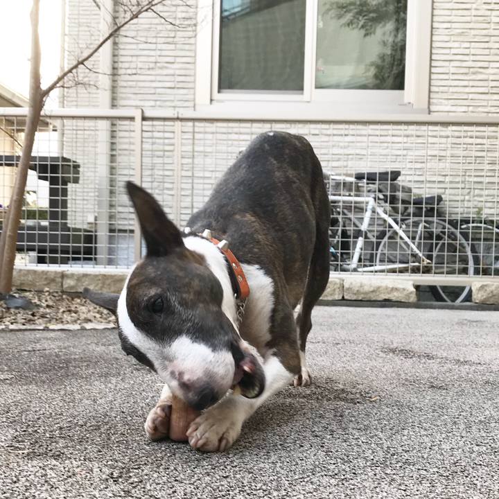 21e0d1d5 faf7 400d bf77 4e748720bf03 1519029083309