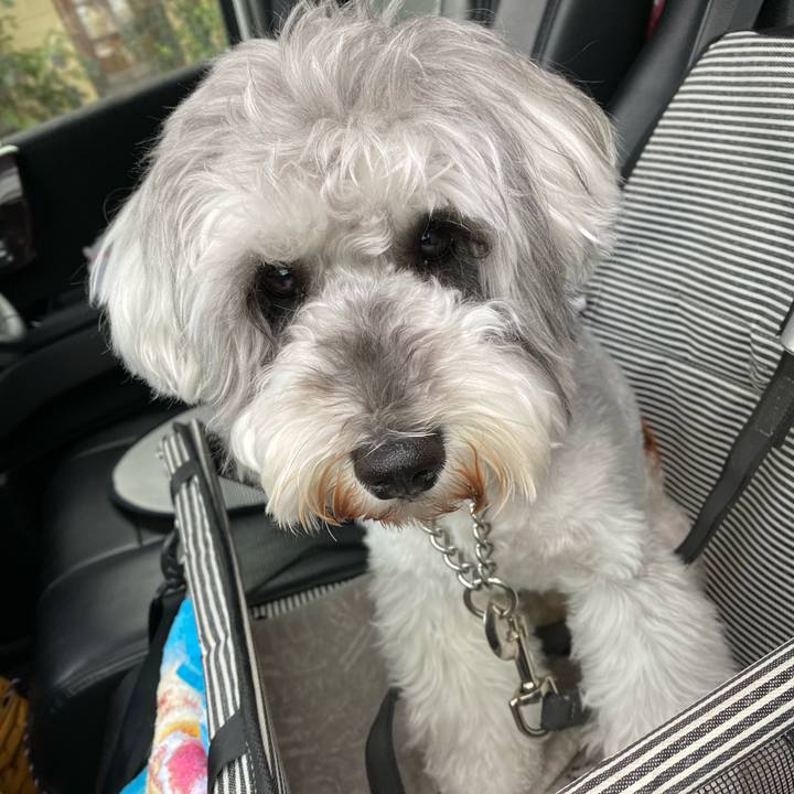 21e0ea3e 7449 4004 8022 2130a9503e46 1649692404215