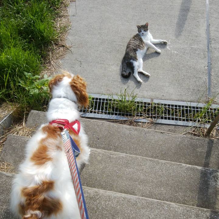 21e0f1a0 4cb4 4479 b6c7 5c71aa05d04a 1528848281674