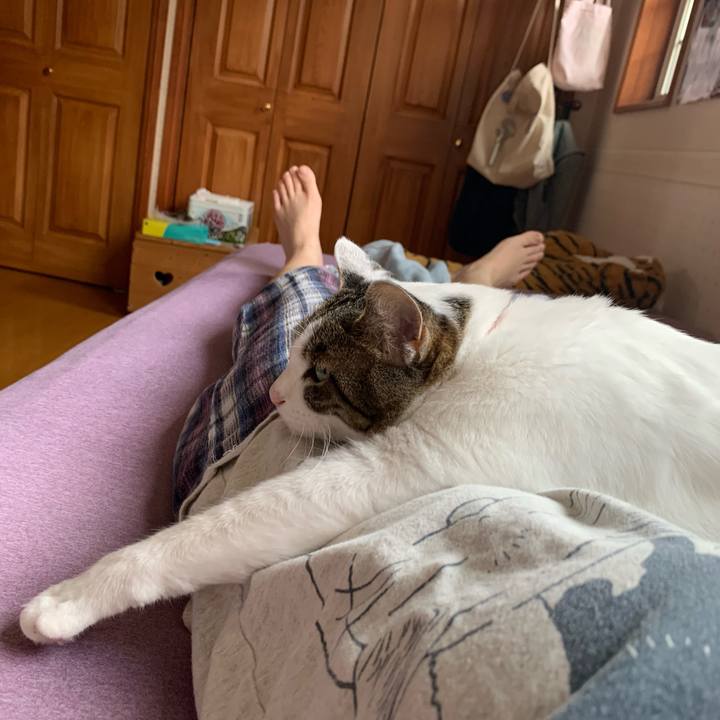 21e10dc5 0a2c 4597 9504 04422eb4957a 1623570190314