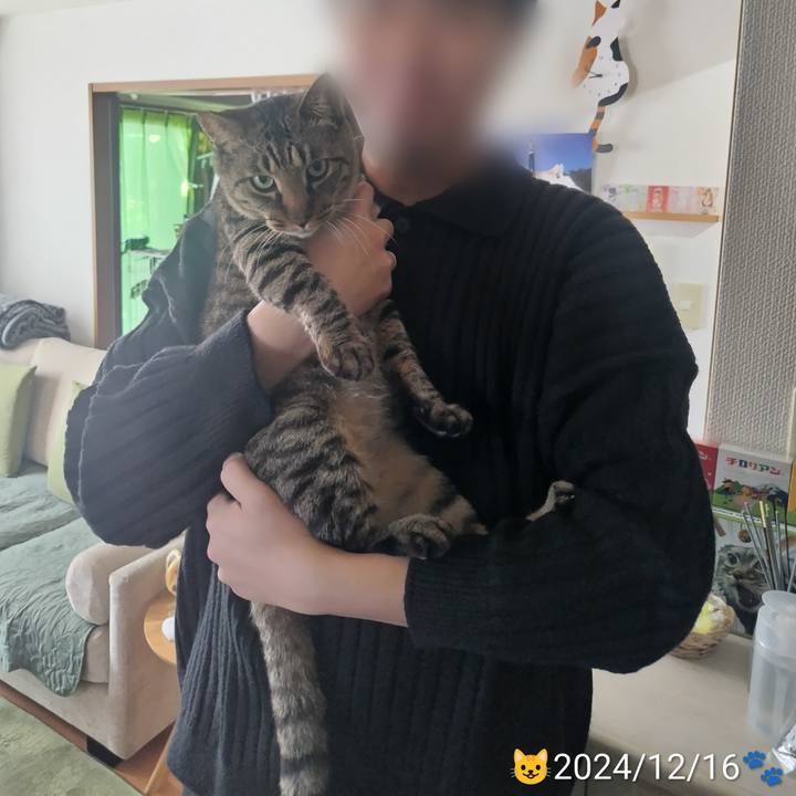 21e14a73 1734 45c1 a3a9 3d9bfc7e68dd 1766330436659