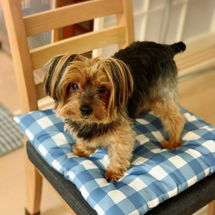 21e169ca f0a1 4f1f ad0b 150a13d4e0fd 1590916449467