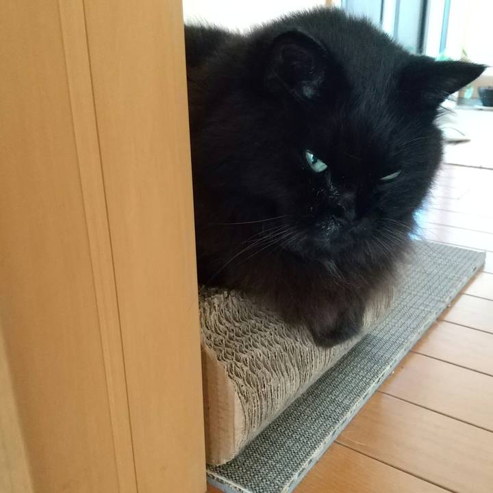 21e174b2 29a4 4759 82a7 ac6a6d619679 1626395948403