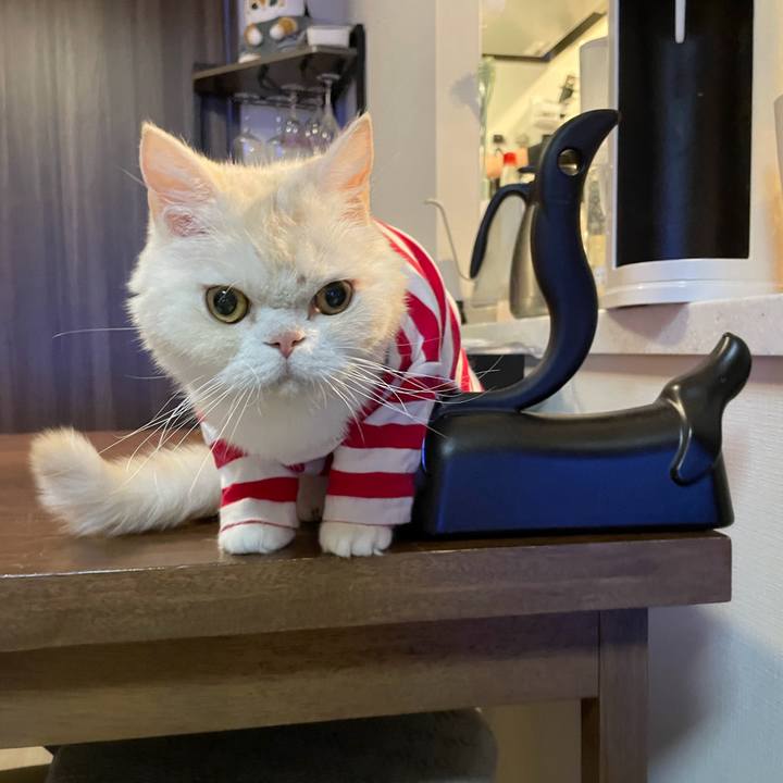 21e1d0d9 6e5e 460d 966f 36d72eb8621c 1762678646016