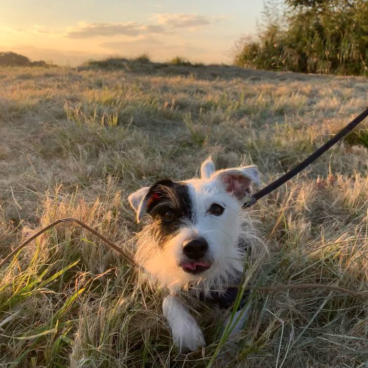 21e1d3ce 1192 412f abeb 92387b0bc1b1 1667634065391