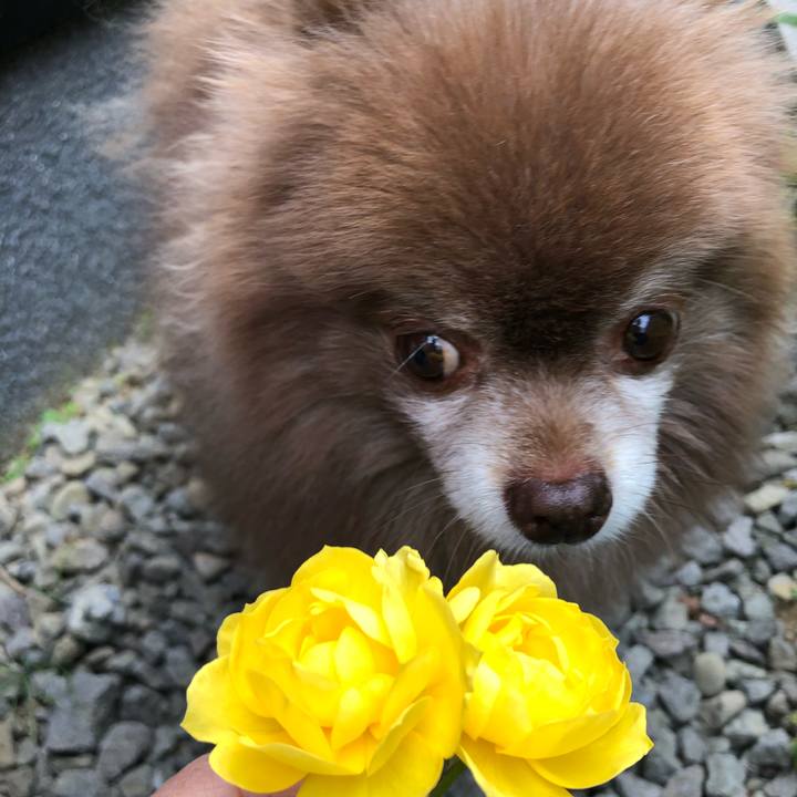 21e1f2f4 9751 4516 ae39 dc920ff5cfce 1626932679414