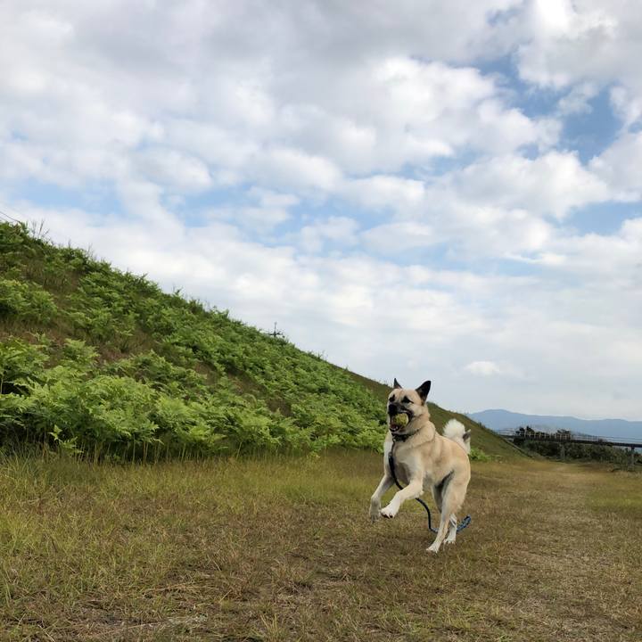 21e26741 f1dc 41bf 89c8 91f3b7b03d80 1606051529880