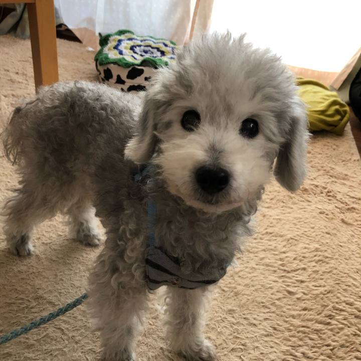 21e2704f b8f7 40ef 9778 17ed90fc2f65 1773622264075