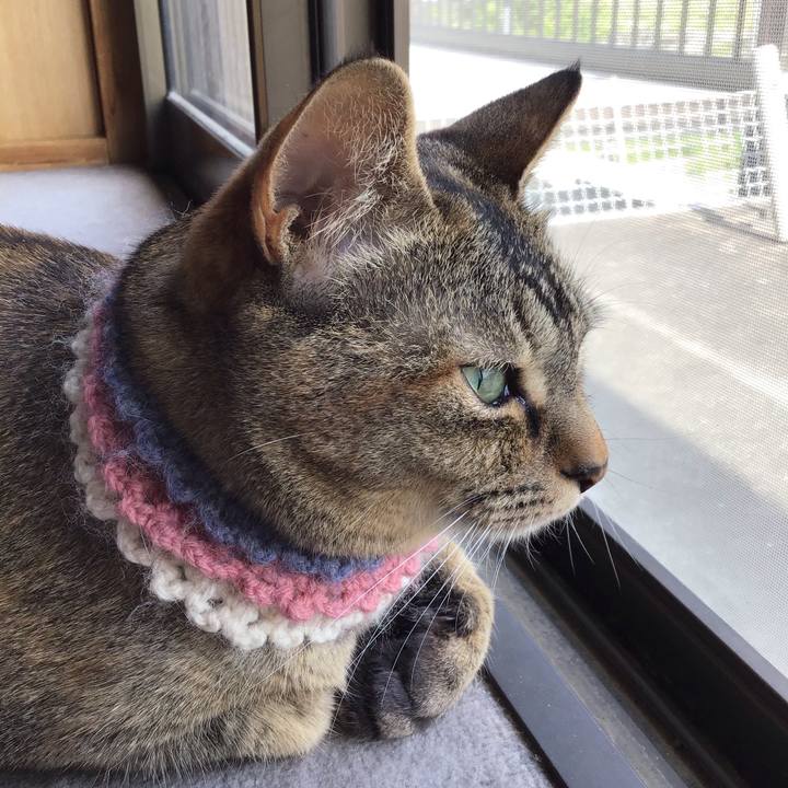 21e27e57 3404 4b4c b6ed 4776610c82ae 1620714752389