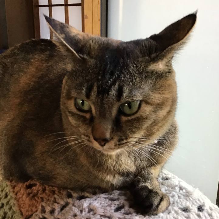 21e2ab80 a469 4f31 9c84 fc3e717c36b4 1683014079666