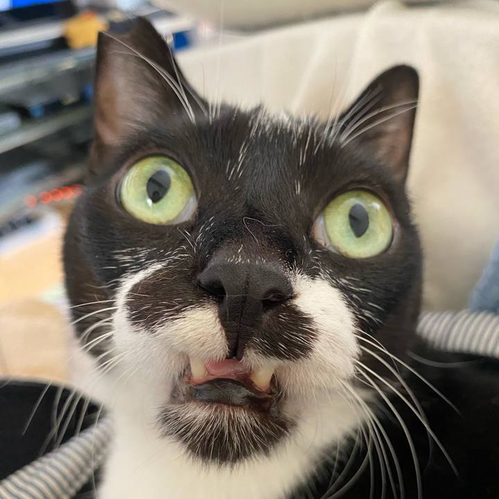 21e2d2e1 44e6 44c1 9568 8f43e5922839 1691499836378