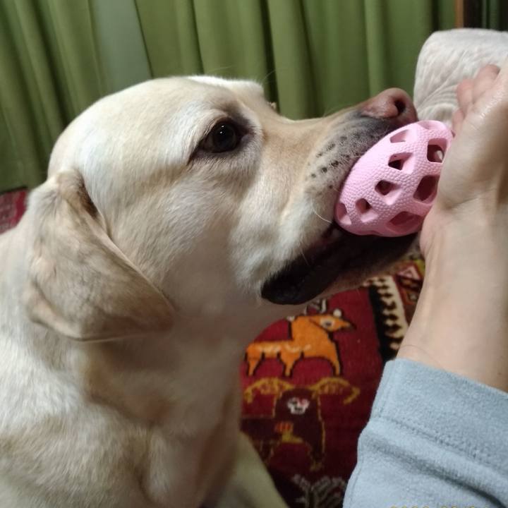 21e2d5c1 0106 45ac a073 ce990c477891 1585059036058