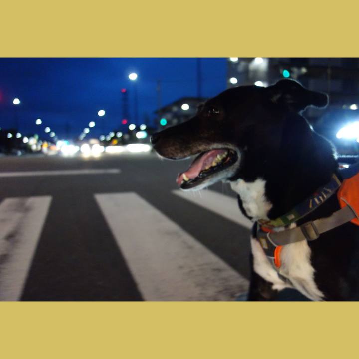 21e304f0 4bd2 45ab 99c1 b81797085720 1712659407538