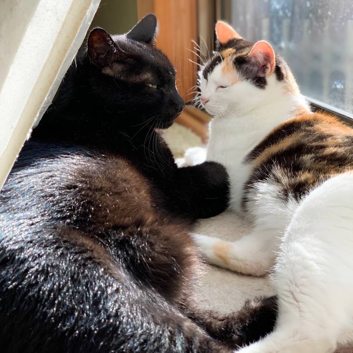 21e30832 521d 43b0 9743 4fbe031b0220 1574994386753