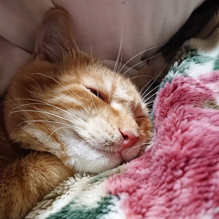 21e31112 a9be 4fe9 b706 c7b45a1b3cc2 1638018860150