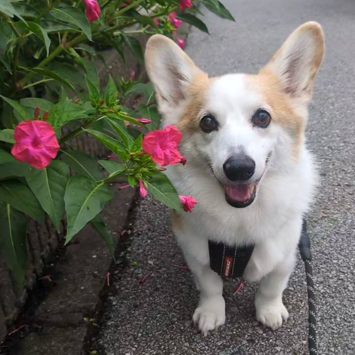 21e32bde 6227 4652 aa8d a9cbfb99c9cd 1760950897790