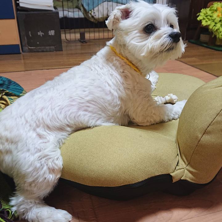 21e32da0 1d83 4806 959e 176075525923 1605094873936