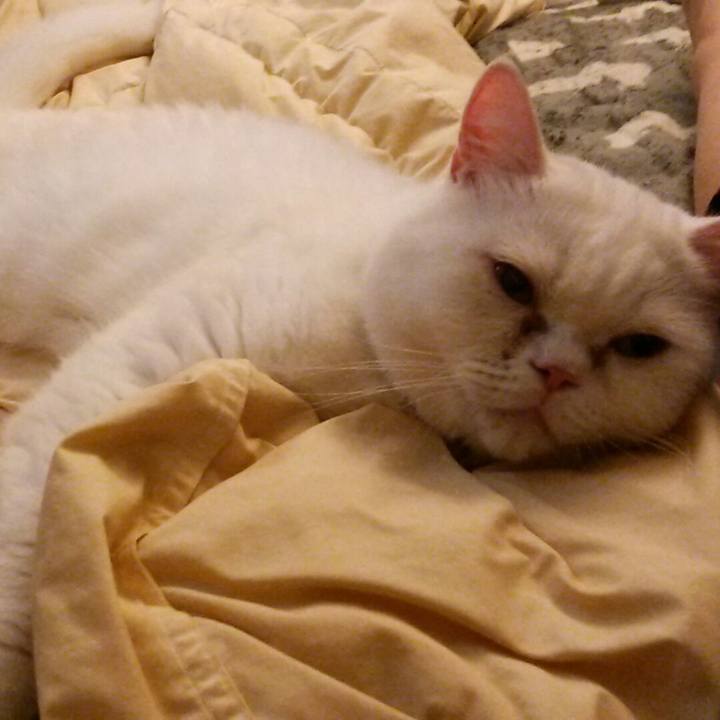 21e3322f 19c4 4d6a ba11 4b3eebaac5eb 1538309021473