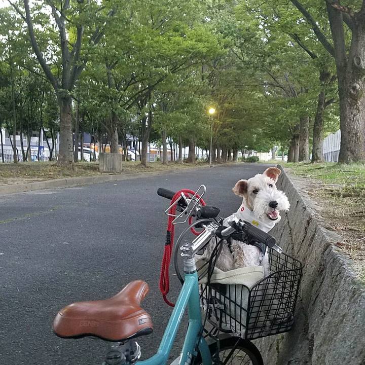 21e33cc8 a72c 4324 b559 c8a1c8535379 1530619707731