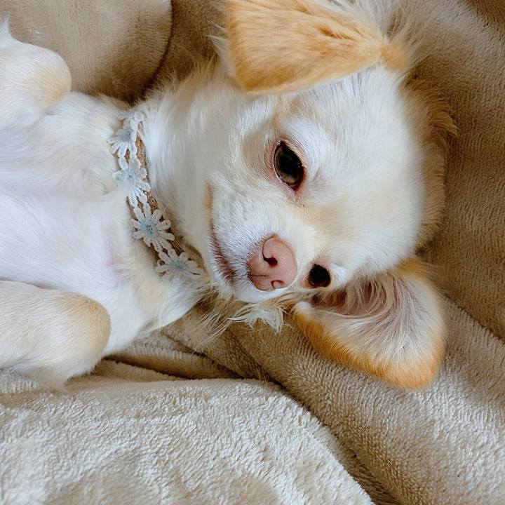 21e39ce6 04eb 4f34 b49c 4ba4760f5aae 1613303416315