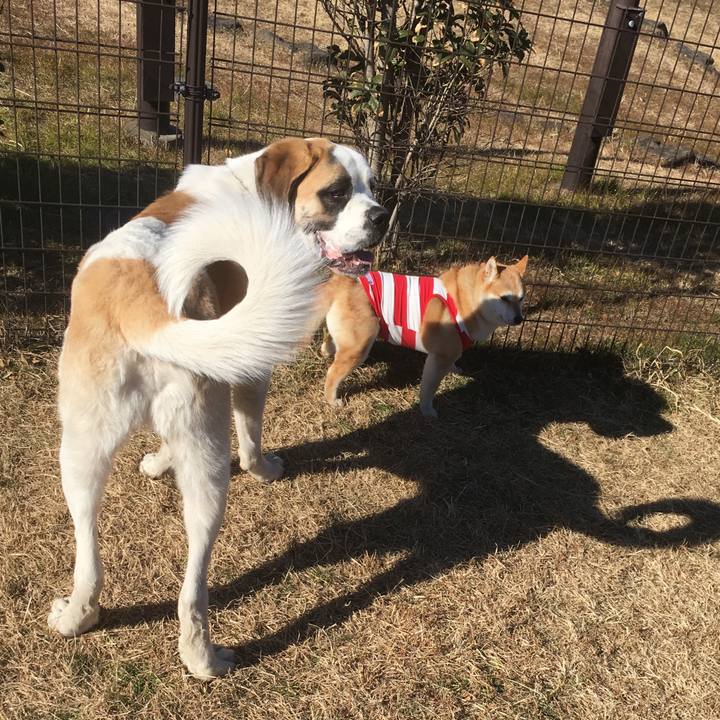 21e3c1d7 b845 4360 a0ed 906986f50892 1548571847967