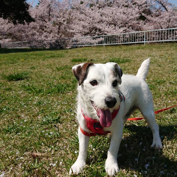 21e403e3 4a99 4d38 a4a6 2b7e8a7bfe93 1616894202588