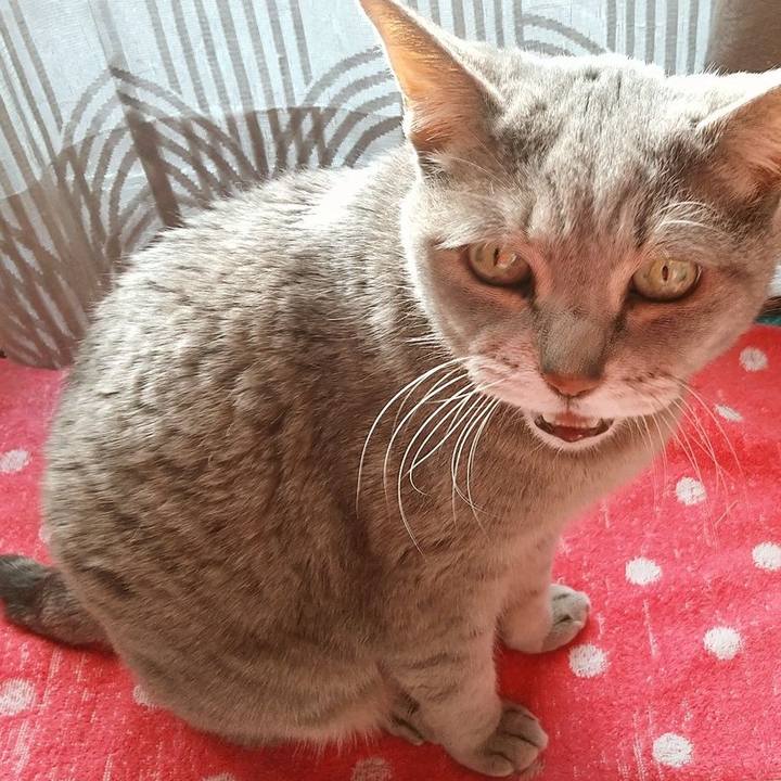 21e40947 bbfc 45a3 b4e2 4f8873b79bb7 1676162756131