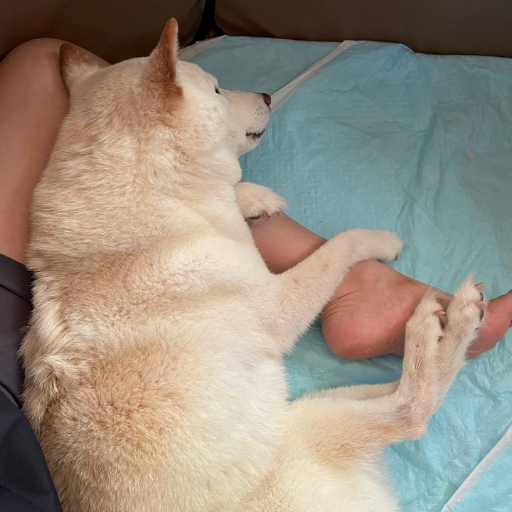 21e42cc8 e83c 4e08 ba21 fe478b5270cb 1658616978976