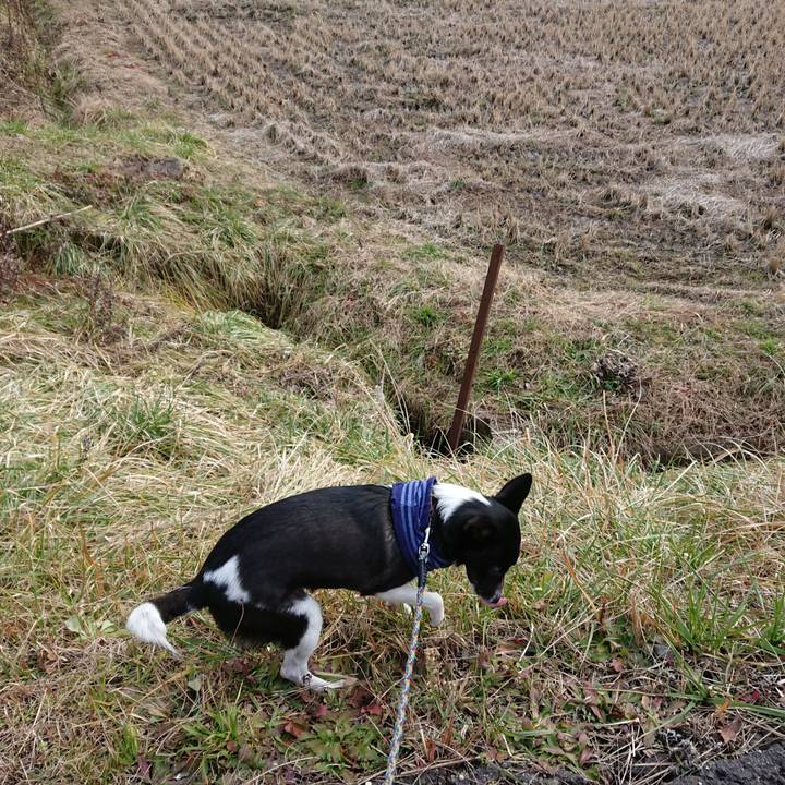 21e43f1f c919 41f2 b7b0 8d9463da2131 1550059191970