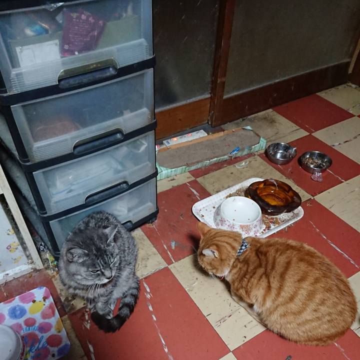 21e46b3b f06e 461e 9428 81f3260b8727 1572551649775