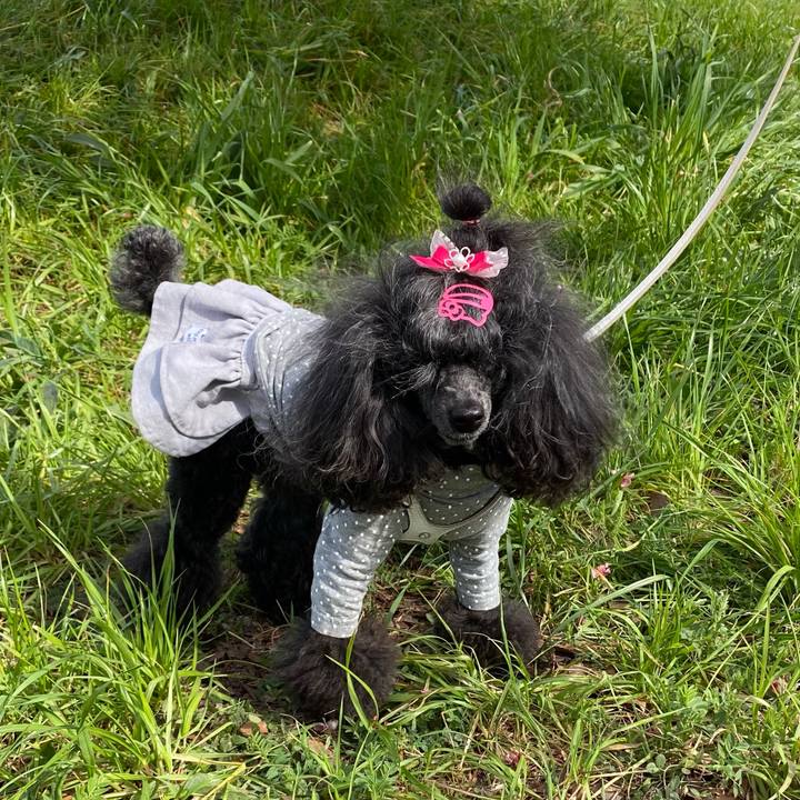 21e46d42 d803 491a a33e e068d8e18b97 1678673414691